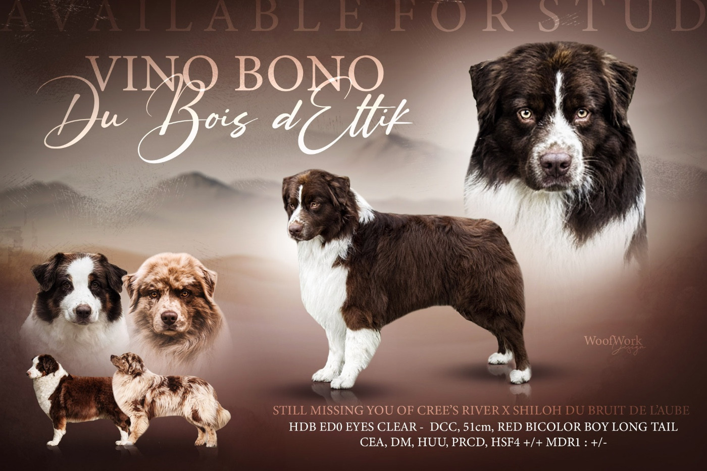 Vino Bono Du Bois D’Eltik